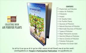 Multicolor Plantation Collectible Book