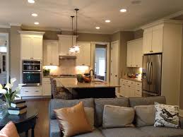 Open Concept Kitchen Living Room