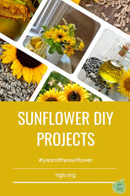 Sunflower Diy Ideas National Garden