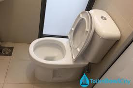 Toilet Guide Toilet Bowl