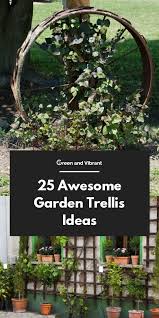 25 Awesome Garden Trellis Ideas Trees Com