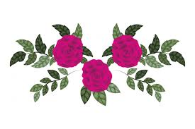 Beautiful Roses With Leafs Isolated Icon
