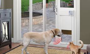 How To Choose A Dog Door The Home Depot