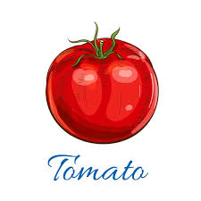 Cherry Tomato Vegetable Icon Stock