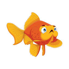 Nursery Orange Fish Icon Removable
