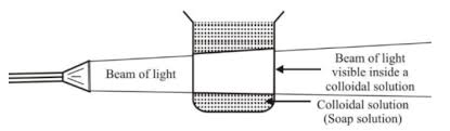 class 9 notes cbse science chapter 2