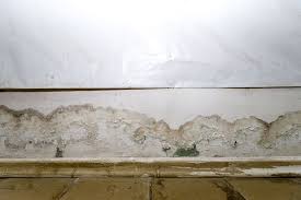 Fixing A Leaking Basement Wall