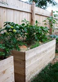 Build A Low Cost Cedar Garden Bed