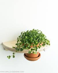 Ikea S For Plants