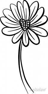 A Logo Design Of A Wildflower Flower