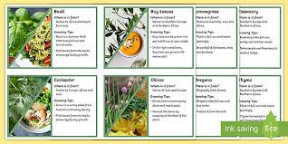 School Garden Informative Herb Labels