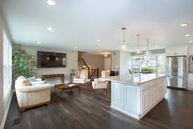 Icon Building Group Remodeling Division