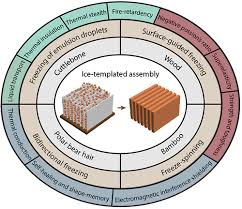 Ice Templated Fabrication Of Porous