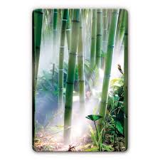 Bamboo Forest Acrylic Print Wall Art Com