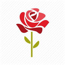 Garden Rose Bouquet Rose Icon Botanical