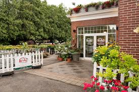 About Us Studley S Flower Gardens