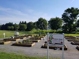 Community Garden In Hilton Newport