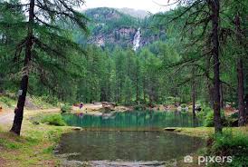 Shower Curtain Lago Del Pellaud