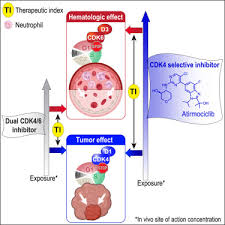 Cdk4 Selective Inhibition Improves