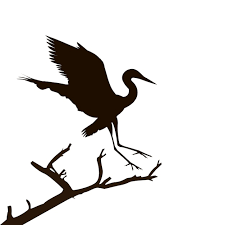 Silhouette Crane Bird Or Heron Flying Icon