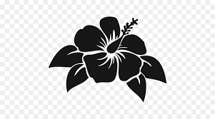 Black And White Flower Png