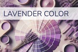 Lavender Color All Shades Color