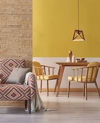 Incredible Asian Paints Colour Combinations