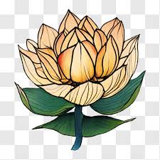 Lotus Flower Stained Glass Window Png