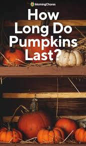 How Long Do Pumpkins Last And How To