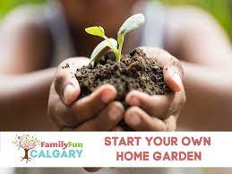 Start Your Home Garden Family Fun Calgary