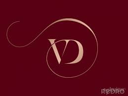 Vd Monogram Logo Typographic Signature