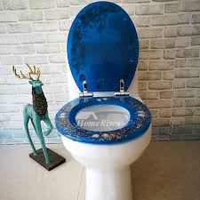Best Blue Resin Oval Toilet Seat Fancy