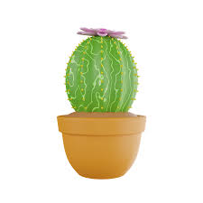 Cactus Plant 3d Icon In Png