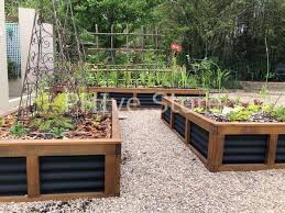 Raised Garden Beds Planter Boxes