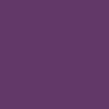 Bs 381c Dark Violet 796 Spray Paint 9