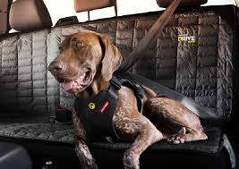 9 Best Dog Car Harness Top Picks