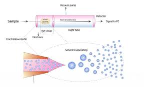 How Does A Mass Spectrometer Work