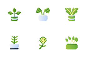 18 Calathea Icons Free In Svg Png