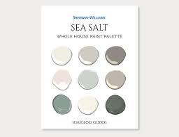 Sherwin Williams Sea Salt Palette