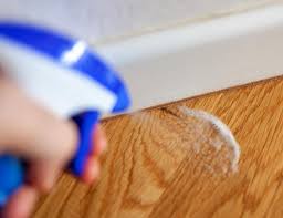 Mold Under Parquet And Wooden Floors