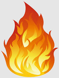Fogo Fuego Resim Ara Bonfire Flame