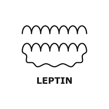 Leptin Formula Isolated Peptide Hormone