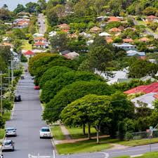 Go Gardening Helping New Zealand Grow