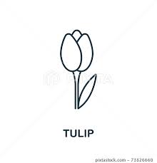 Tulip Icon From Garden Collection
