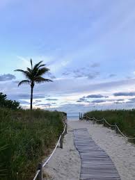 Miami Rehberi Güneş Ve Plajdan Çok