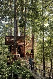 Exterior Treehouse Design Photos And