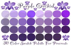 Color Palette Procreate Purple Orchid