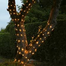 Buy Outdoor Fairy Lights Stunning