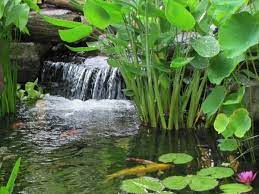 3 Pond Waterfall Designs You Ll Want To