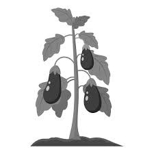 Eggplant Icon Cartoon Single Plant